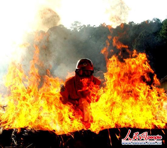 ��������Ϊѵ���������λ𺣡�