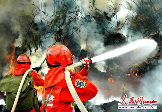 ˮ��רҵѵ��