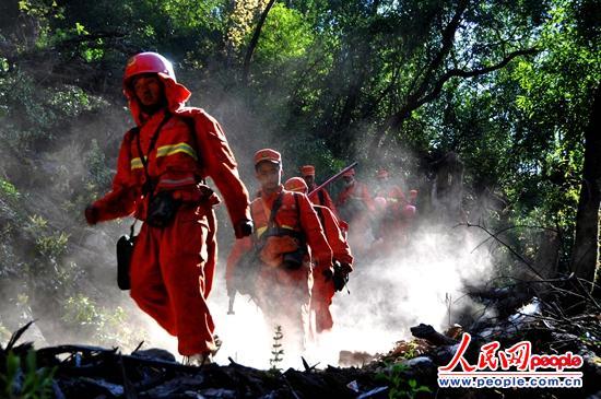 ����4��22�գ��Ĵ���������Ų��緢��ɭ�ֻ��֣�ɭ����ʿ��ҹ��ս�󣬿���ʱ��һ���龰��