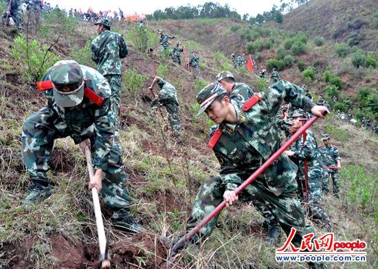 ����ֲ��