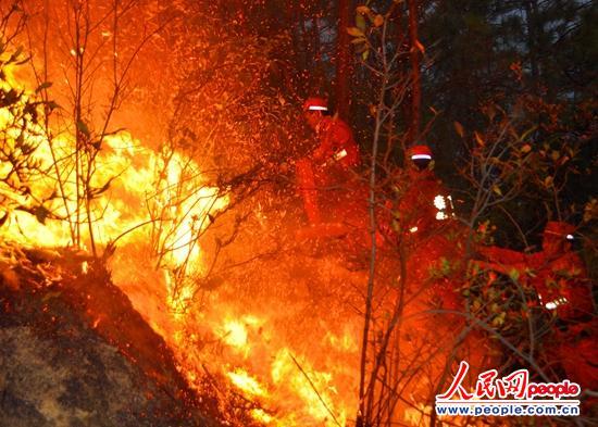 ����2��17�գ��Ĵ��²������緢��ɭ�ִ����ɭ���ٱ���ս�ڴ��һ��