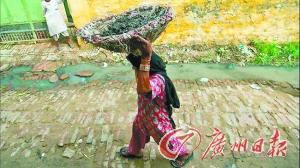印度立法严禁徒手淘粪 排污落后超6亿人没厕所