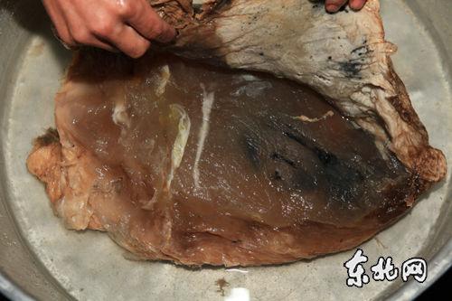 �������������ơ�̫�ꡱ���塣