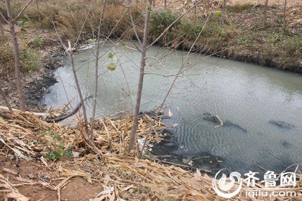 �����Ǻ��������ϴ����ȡ��ˮ���أ�����ˮλ�Ѿ��½����ɼ������ϴ�_����