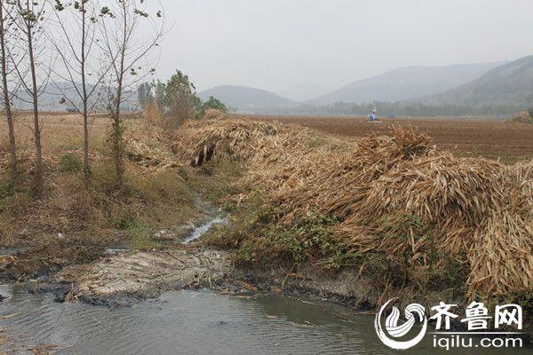 �������ո˹����ڸǵ����ۿ�