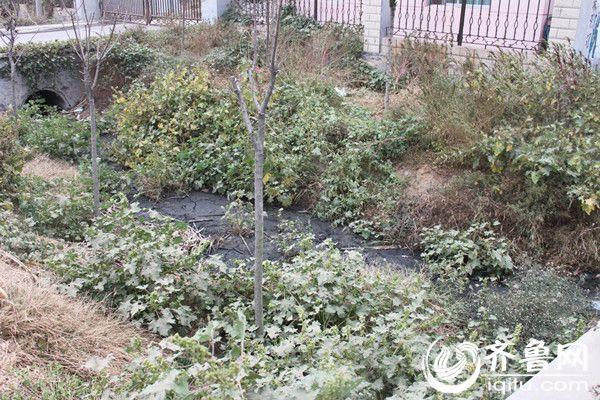 ��ˮ�ŷŹ��ı�ͷ�ѱ���Ϊ��������ˮֻ��������_����