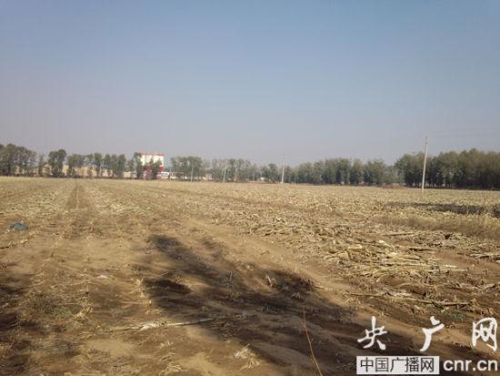 �Ÿ����屻ͣ�������ظ���