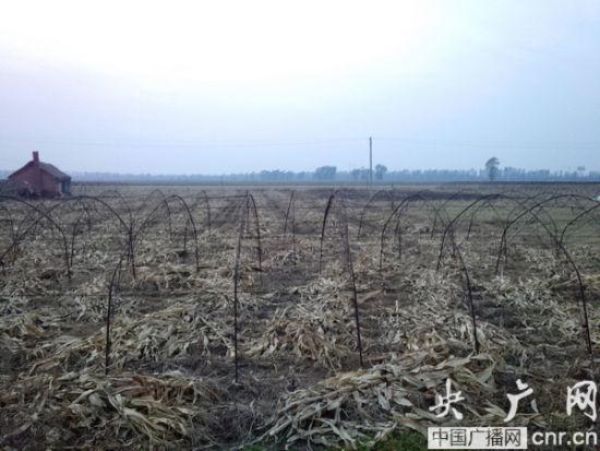 �Ÿ����屻ͣ�������ظ���