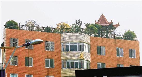 浙江瑞安一“空中花园”存20年 市民拿其当地标