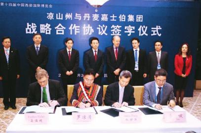 丹麦啤酒品牌排行榜_2020丹麦最有价值的50大品牌排行榜(2)