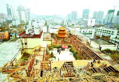 ����һ¥������͢��Υ����ǿ��