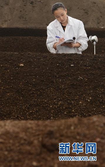 #(生态)(2)湖北恩施:废弃烟草秸秆“变身”生物肥