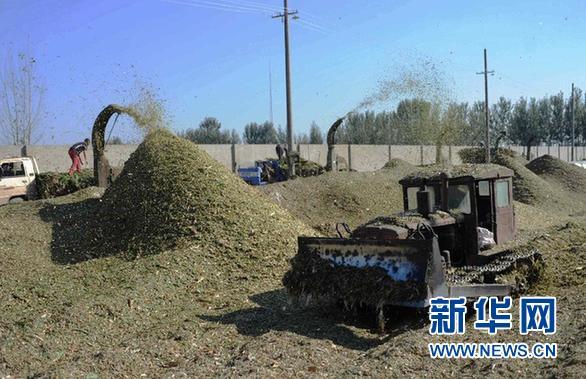 (经济)(2)玉米秸秆“变废为宝”