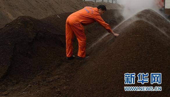 #(��̬)(1)������ʩ�������̲ݽոѡ������������ 