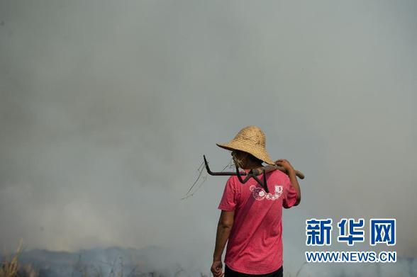 (走基层 听民声)(1)城市雾霾天气频发 秸秆焚烧何时能止