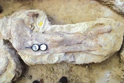 ũ���޷��ڵػ��ڳ�������ʯ(ͼ)