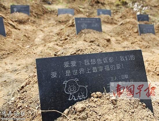 广西一商人欲建宠物