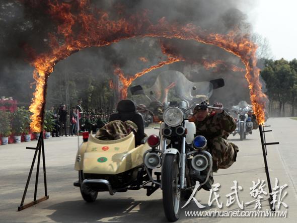 直击武警惊险训练穿越火障摩托特技组图