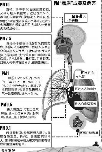 昨日下午3时,西安市长安南路,陕西自然博物馆球形玻璃外立面上,工人正在雾霾中施工。污染天气下,户外工作时,要做好防护措施 本报记者 黄利健 摄