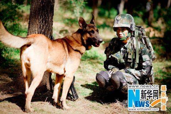神犬奇兵上演惊险丛林野战与霸气军犬图