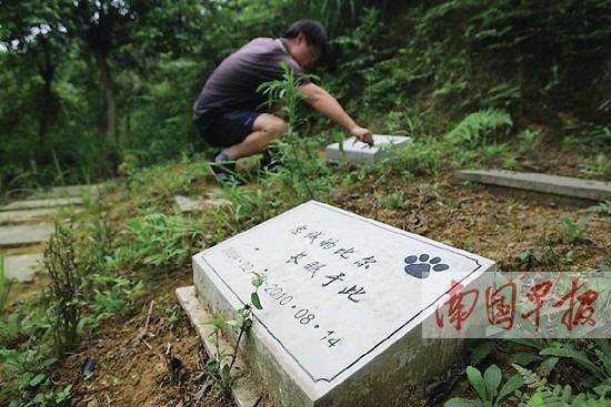 广西一商人欲建宠物