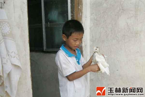 玉林九岁男孩 挑起照顾两个残疾老人的重担(图)