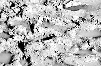 �������﹤��ʦ�Ƶ�����������Դ�����