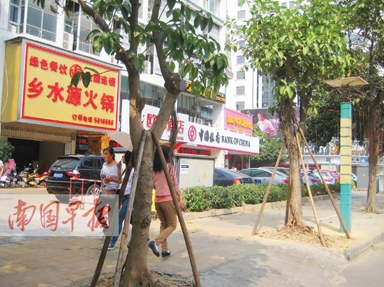 2009���������ϰ���������400��õ�·�������ƻ�