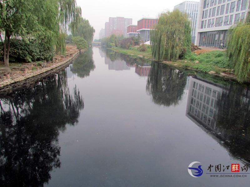 南京现双色河恶臭难闻一半墨黑一半浑黄图