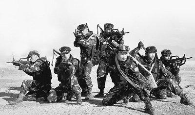 特种兵训练探秘:用拳开砖仅为最低要求(图)