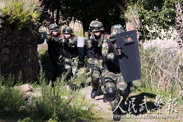 伪装潜伏武警8742部队狠抓实战化军事训练图