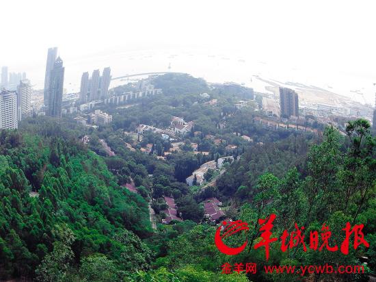 站在大南山顶俯瞰,鲸山觐海与龟山花园的别墅群尽收眼底、青翠环绕