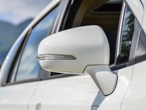 ������ľ2013���Ԧ