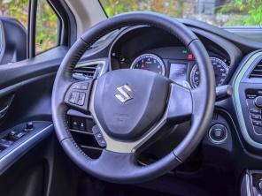 ������ľ2013���Ԧ