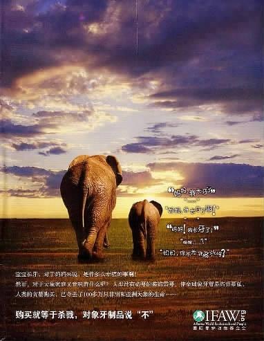 研究生暴利驱使下铤而走险 违法雕刻象牙月入万元