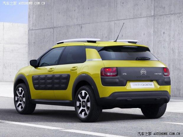 ѩ����ѩ����(����)Cactus2014�� ������