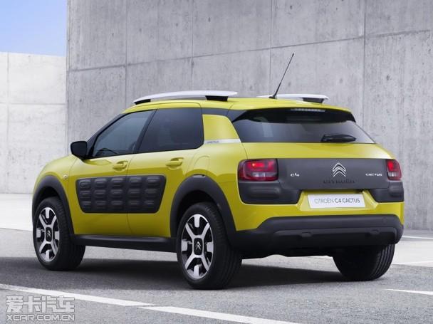 ѩ����C4 Cactus�������ͼ
