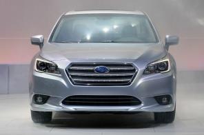 ˹��³ȫ��һ����ʨ