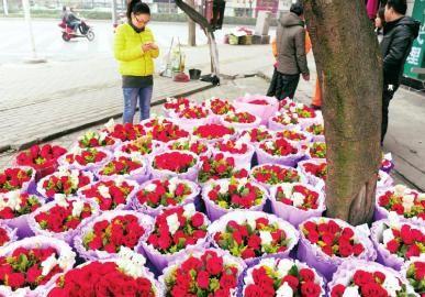 2��13�գ�����·һ�һ����ϰ屸��õ�廨Ӧ�����˽ڡ�