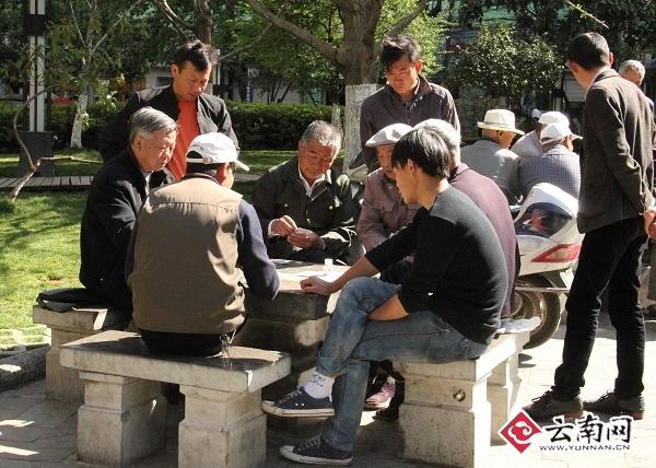 ������������С��԰����Ǳ�ɹ̫���ߴ��ơ�