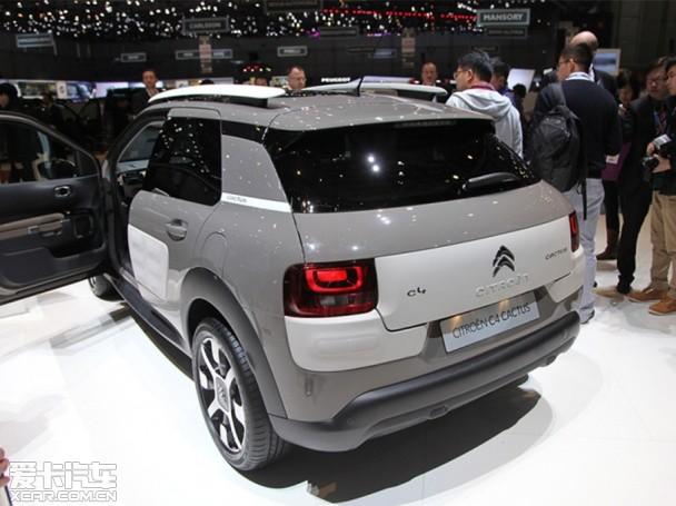 ѩ����C4 Cactus
