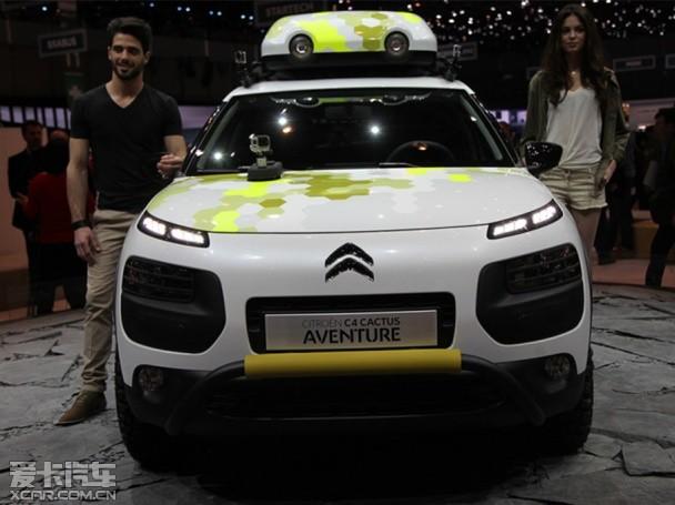 ѩ����C4 Cactus