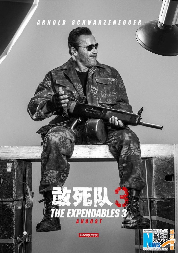 敢死队3硬汉正义联盟把伤疤当勋章组图