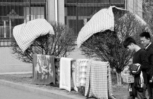 大学生起床没叠被受罚数十床被子被扔进厕所图