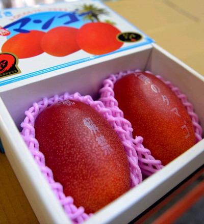 日本两个太阳芒果拍出30万日元高价图