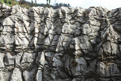 四川长宁竹石林现刀砍石因白云岩差异风化图