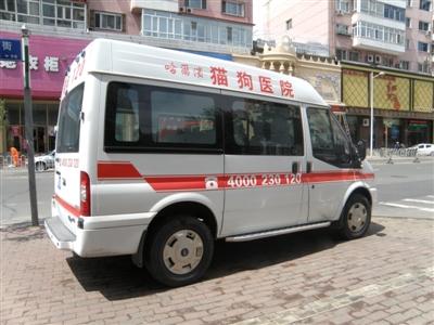 哈尔滨一宠物医院开设猫狗120急救车配医生护士