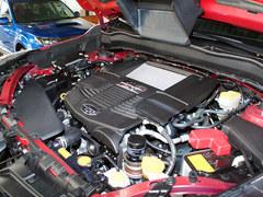 ���Ϲ�˹��³ɭ��������Ԫ����ֳ�����