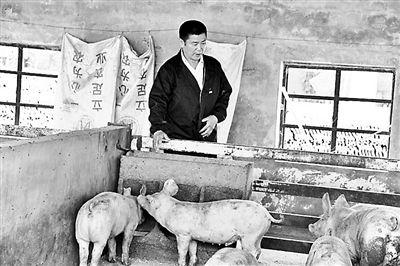 曹学义的养猪场今年因暴跌行情损失惨重