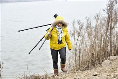 �Ͻ����������ػ��ƺ�ʪ��ʮ���� ������ϡˮ�� 